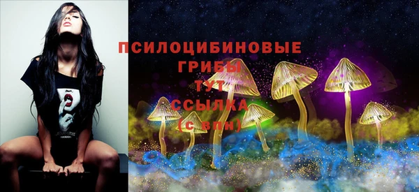 ALPHA PVP Нефтегорск